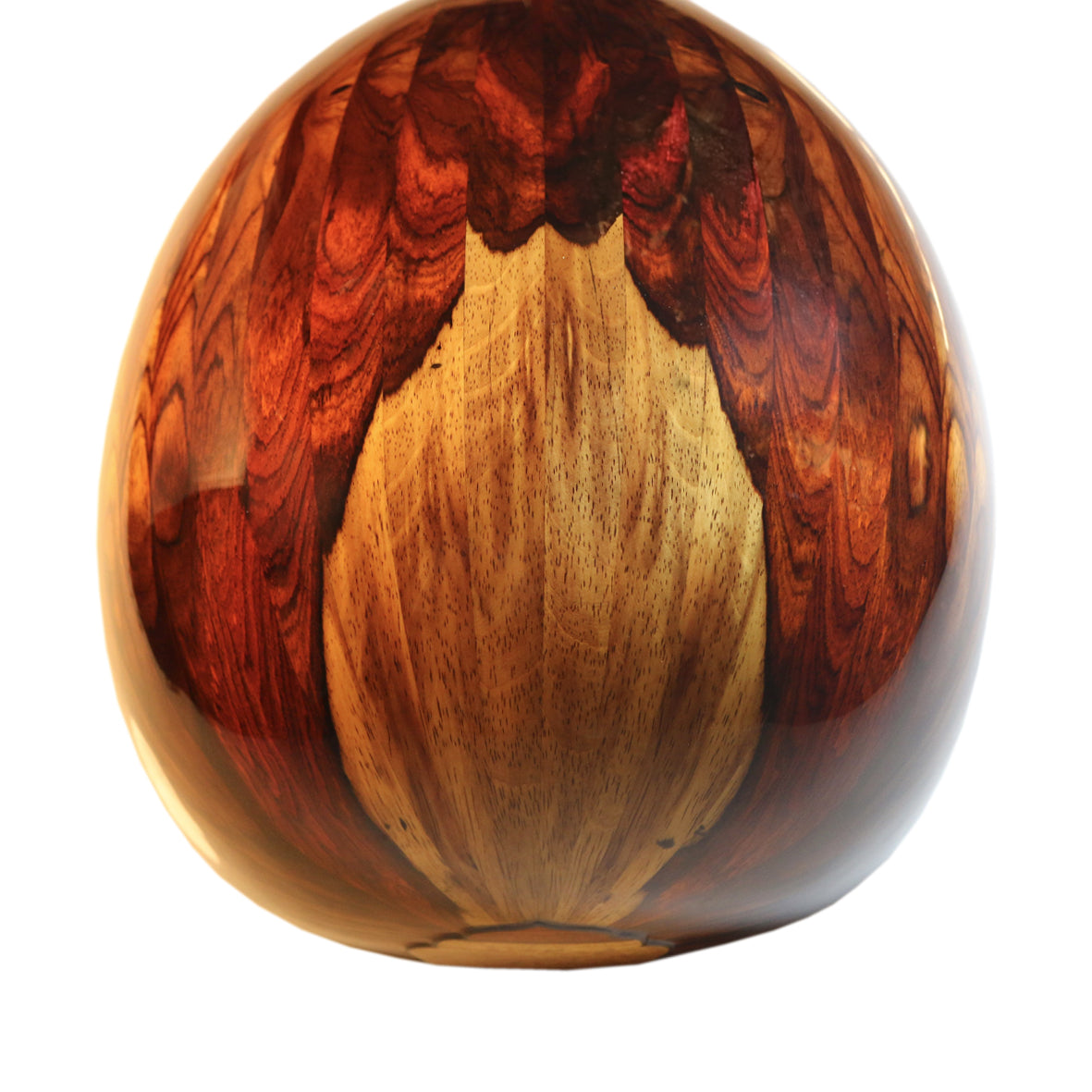 Miras Masterpiece Türkische Oud aus Cocobolo OWL