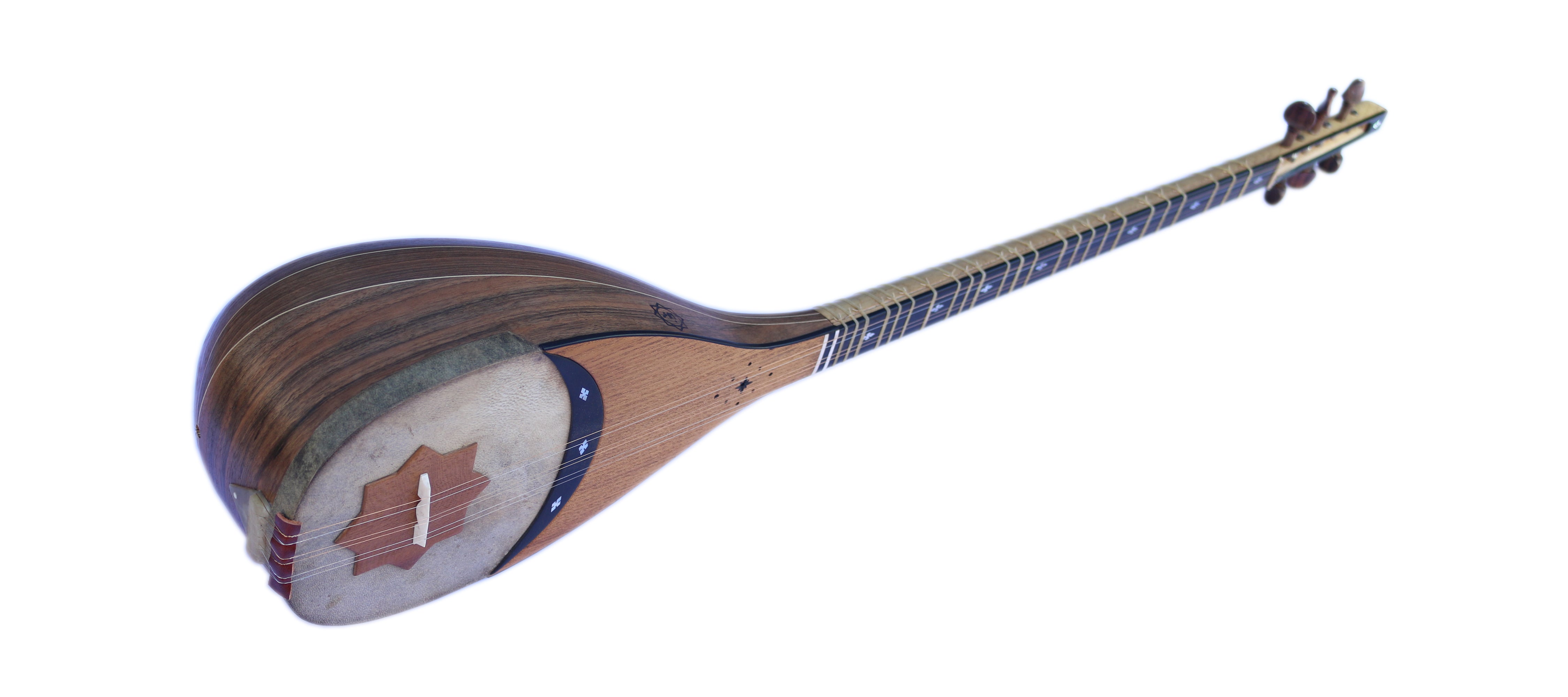 Movlana shourangiz MSH-405 luthier handcrafted Persian instrument