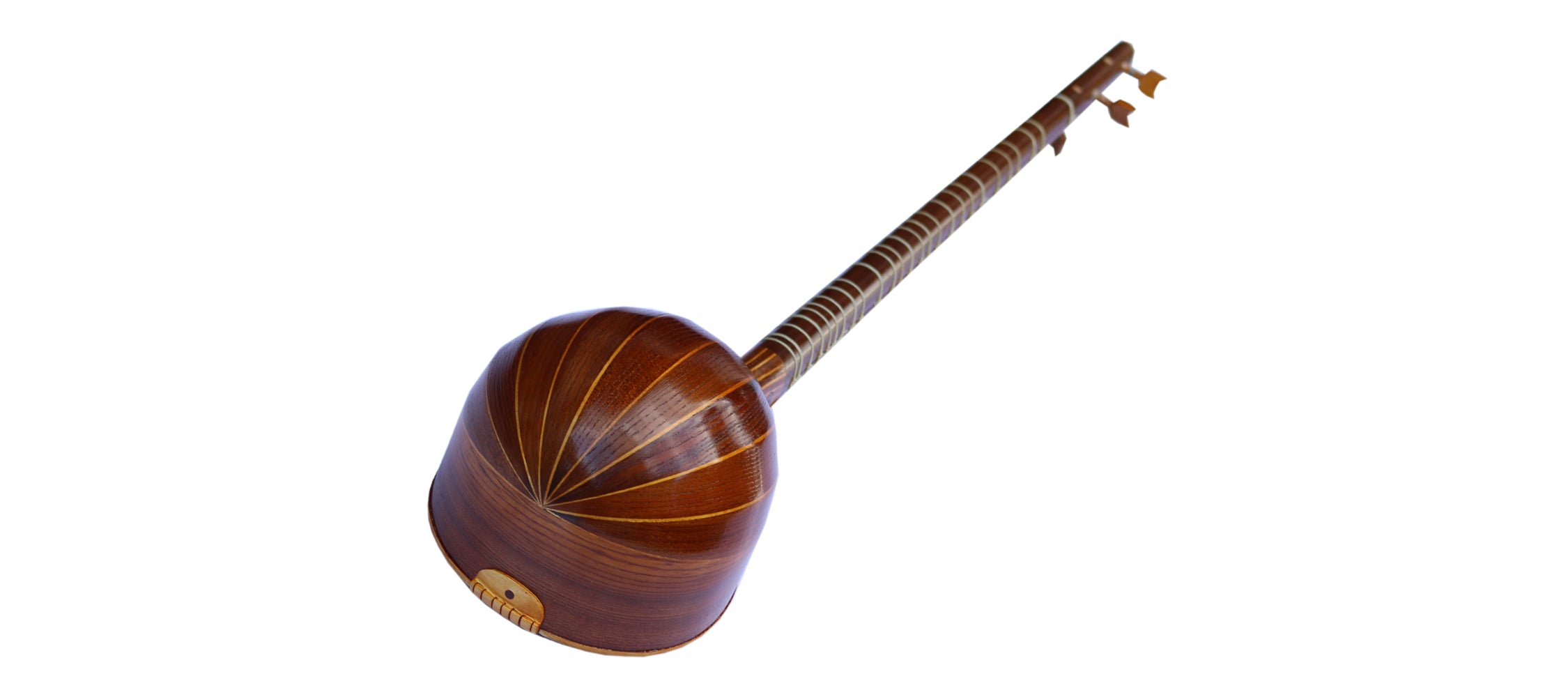 Sétar en mûrier Davood DS-3 instrument classique de concert persan