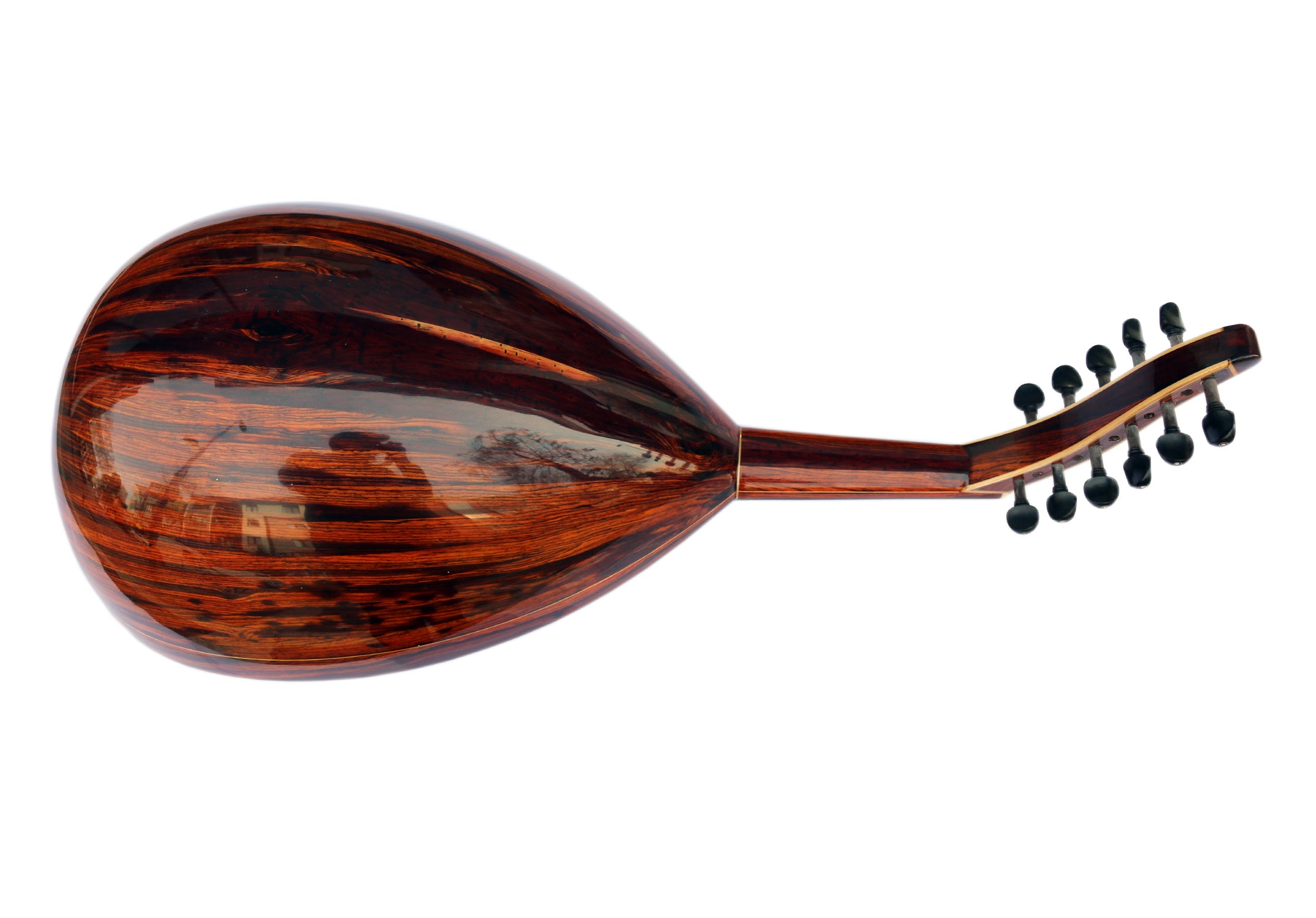 Oud turc en cocobolo SALA-C4