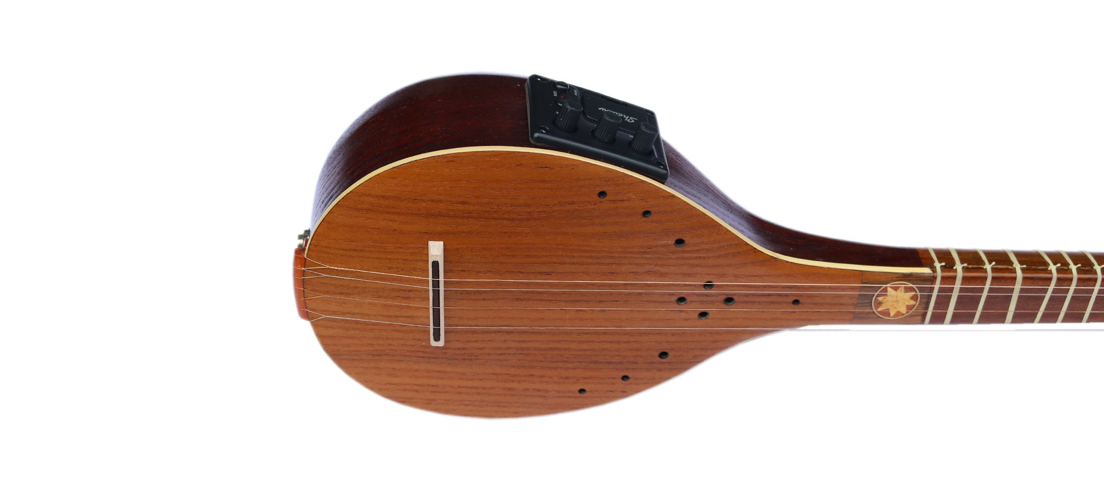 Sétar électrique ES-4 de Sala avec égaliseur intégré instrument persan