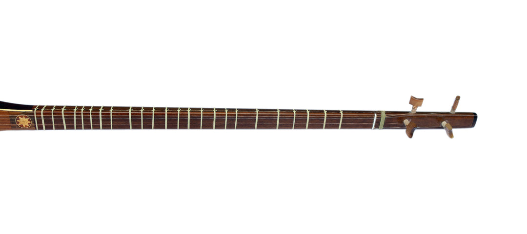 Sala electric acoustic setar ES-4 amplified Persian lute