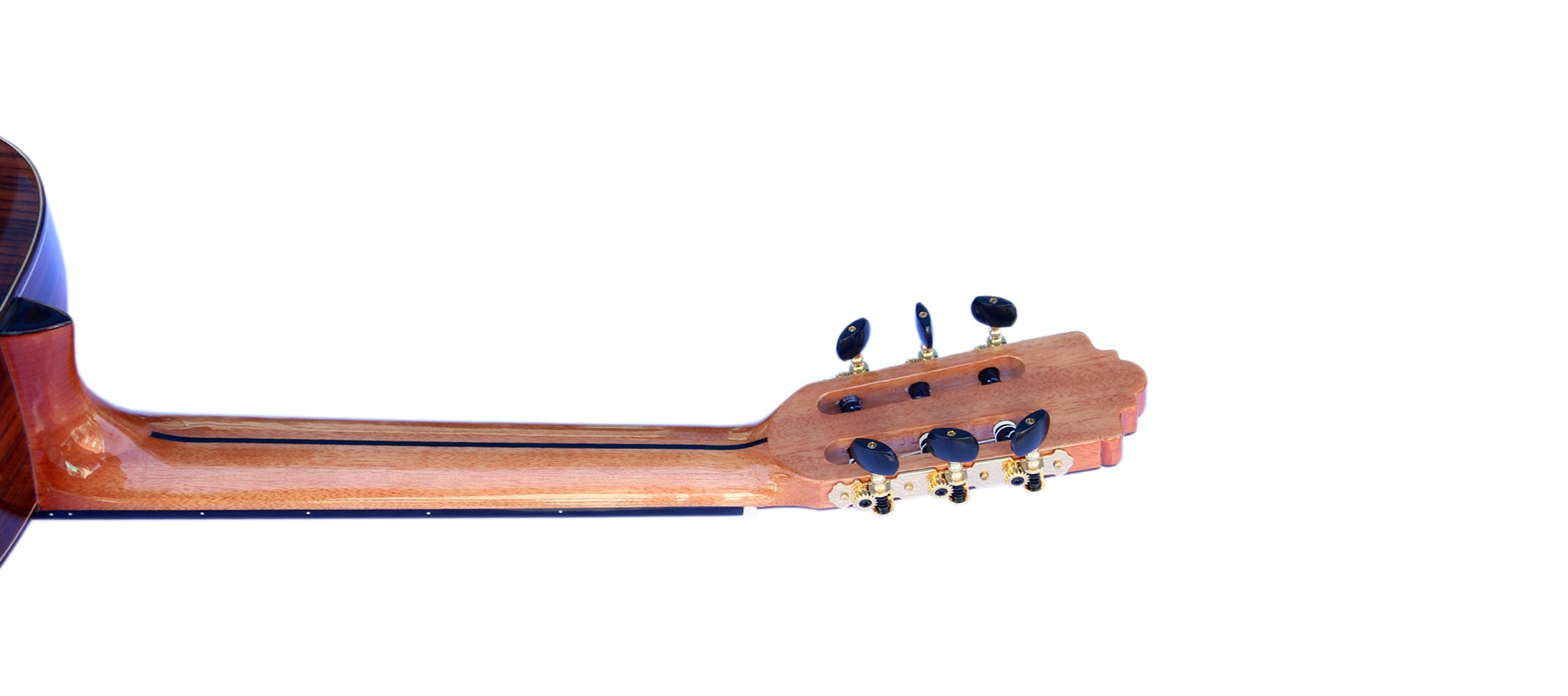 Sala Professional Fretless Electric Classical Guitar With Equalizer CP-5