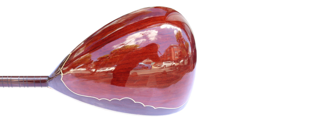Sala Muzik Professional Left Handed Electric Baglama Saz SES-12L