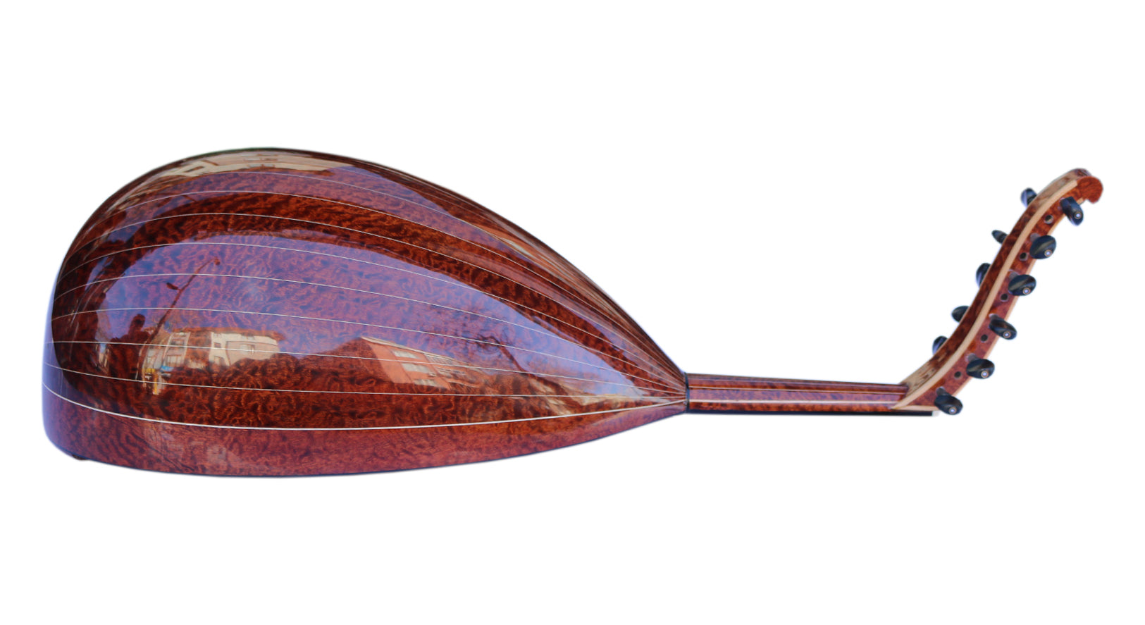 Oud turc en Pomela UNQ-2 par Miras