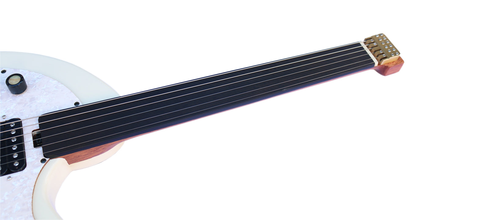 Oud électrique RaksOud cordes acier Sala Muzik