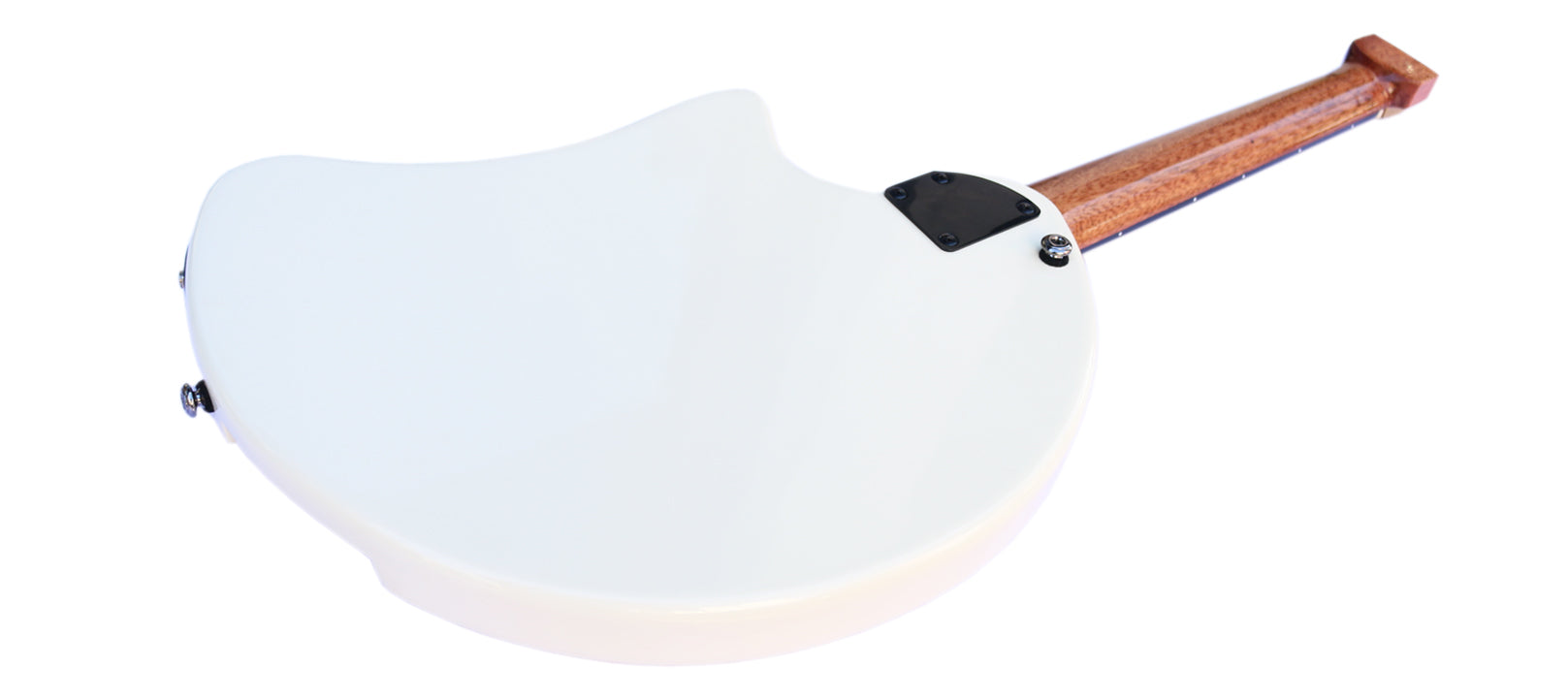 Oud électrique RaksOud cordes acier Sala Muzik