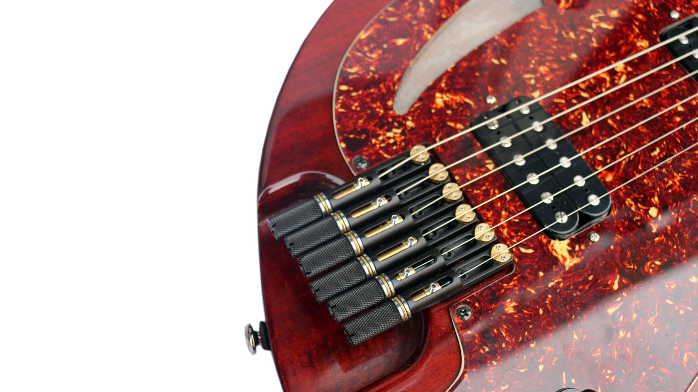 Oud électrique RaksOud 4V cordes acier Sala Muzik