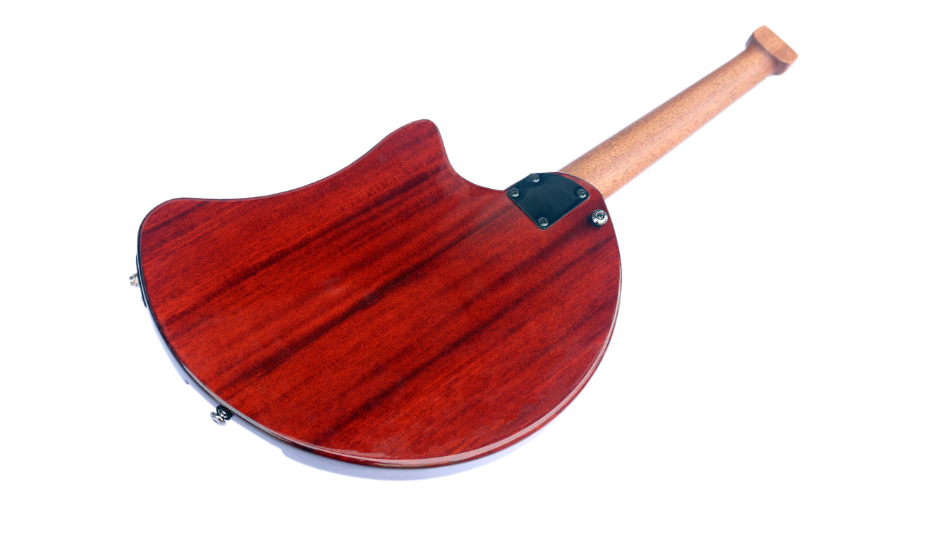 Oud électrique Sala Muzik RaksOud 4V