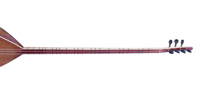 Divan Saz di Qualità da Concerto SDS-403