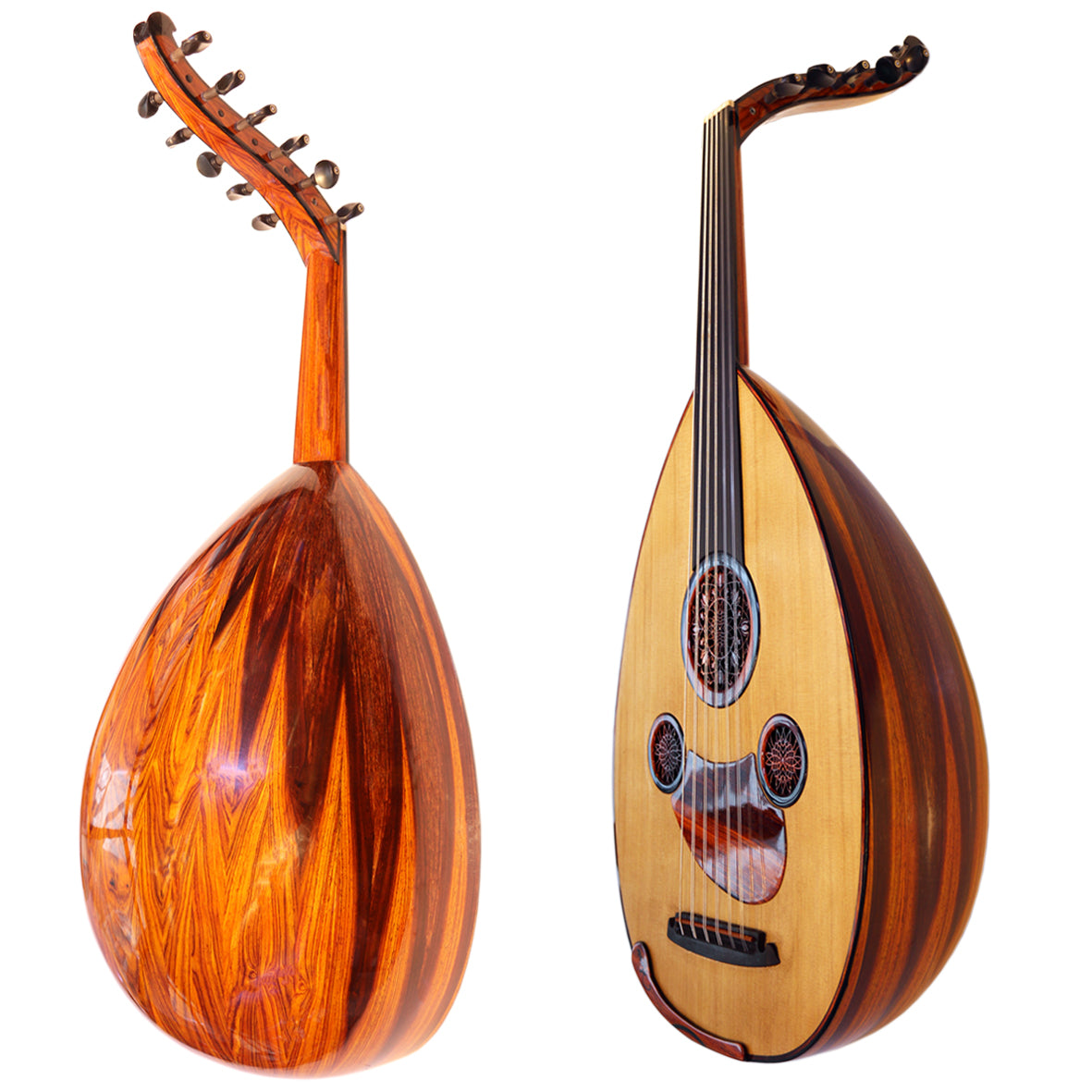 Oud arabe Cocobolo Majesty avec caisse en cocobolo et double table en cèdre canadien