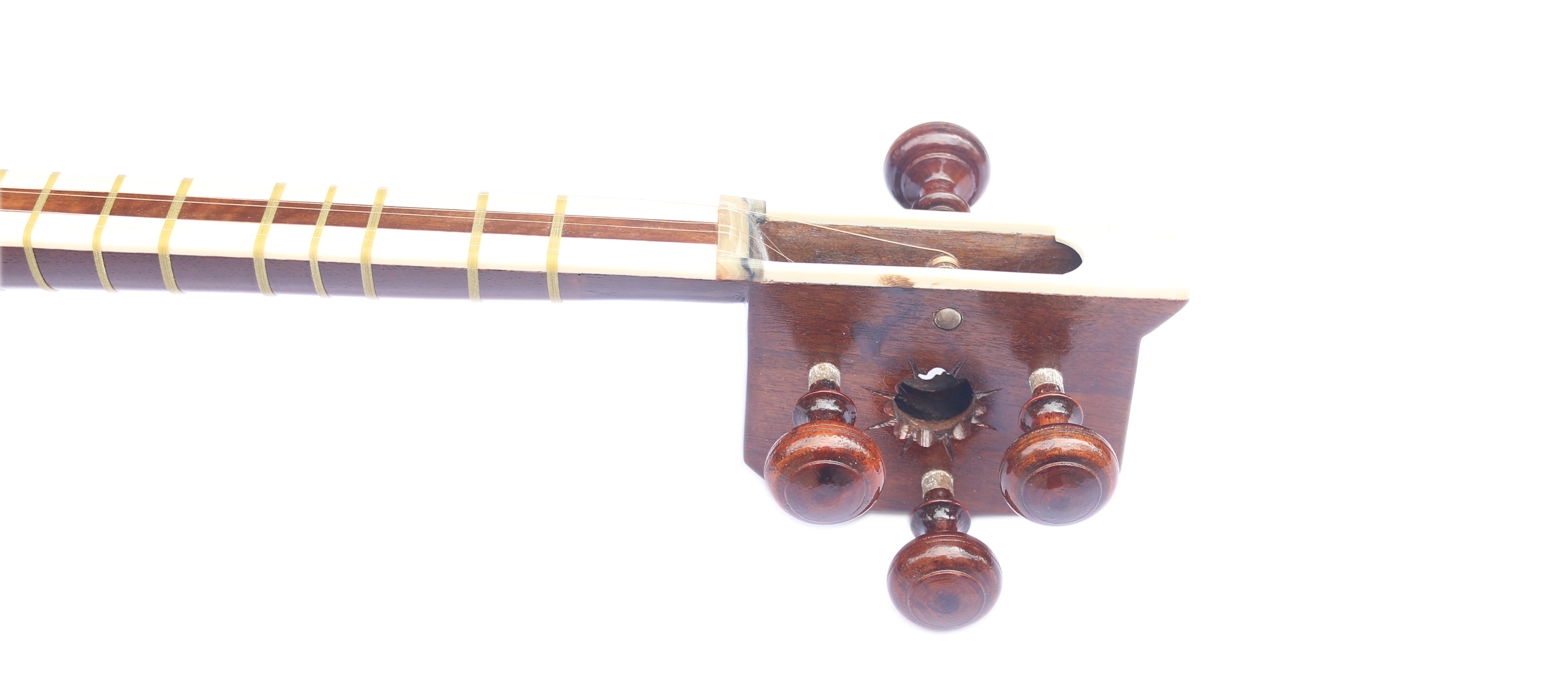 Tar DPT-306 Delnavaz yapımı konser İran mızraplı çalgısı