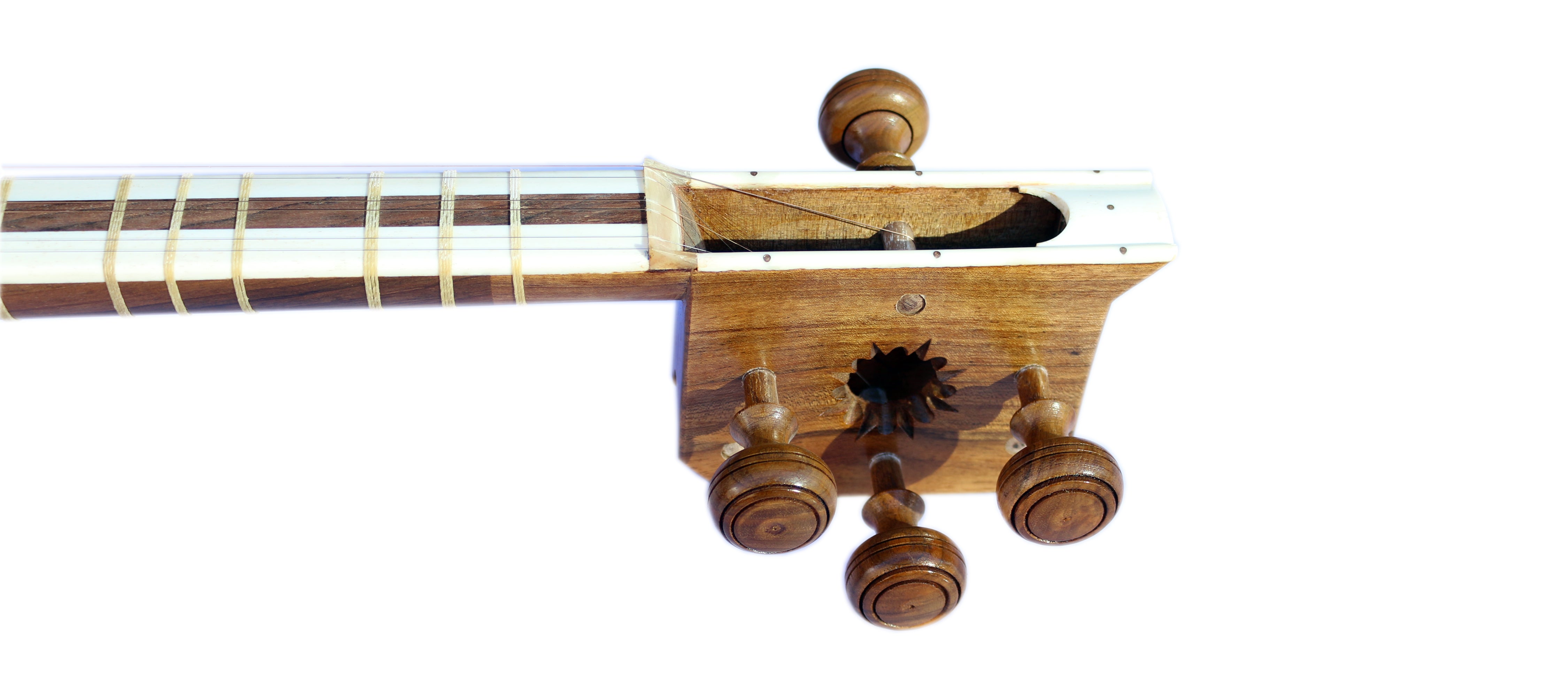 Dariosh yapımı tar DT-304 konser İran uzun saplı çalgı