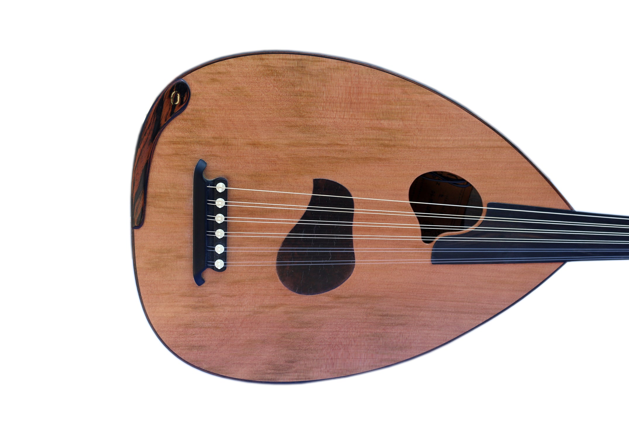 üstat luthiye Mehmet Caymaz el yapımı abanoz gövdeli elektro ud PROUD-5