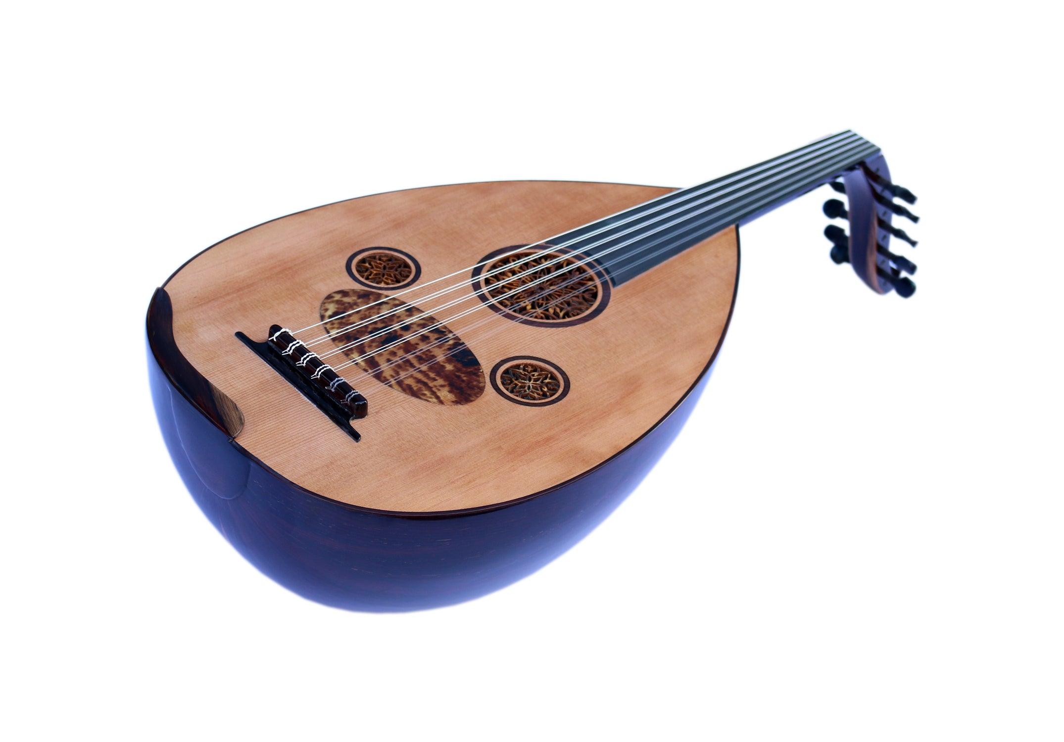 Mustafa Copcuoglu Türk nigra udu MCO-6