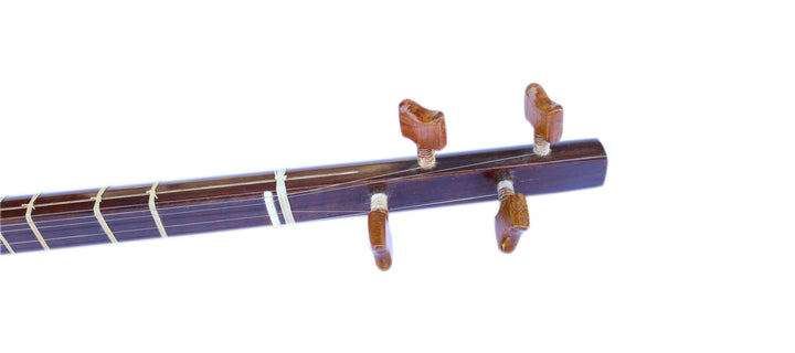Hormoz Persian shourangiz setar SSH-302 6-string handmade lute