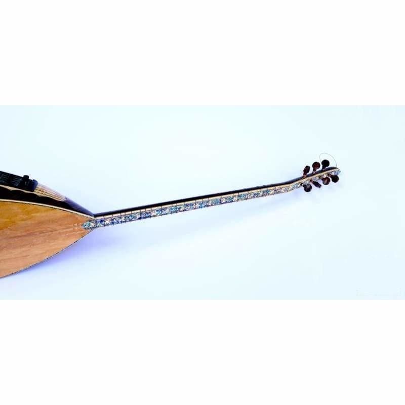 Sala konser uzun sap bağlama SSL-603EQ EQ sistemi ile