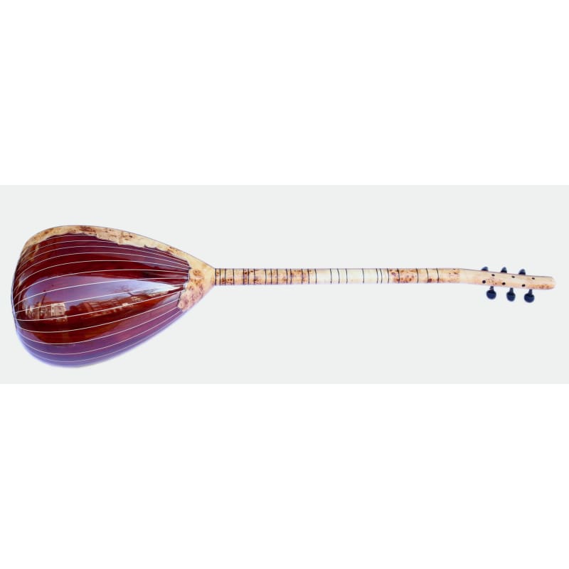 Sala el işi özel elektro saz SES-5