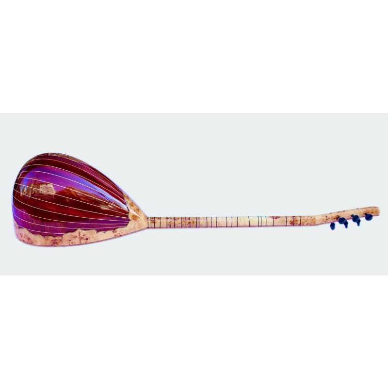 Sala el işi özel elektro saz SES-5