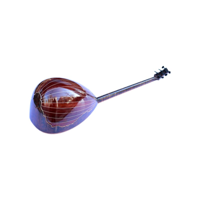 Sala özel elektro saz SES-4 sahne performansı için