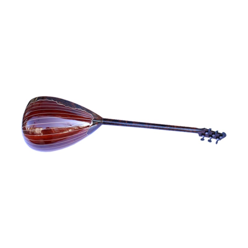 Sala özel elektro bağlama SES-4