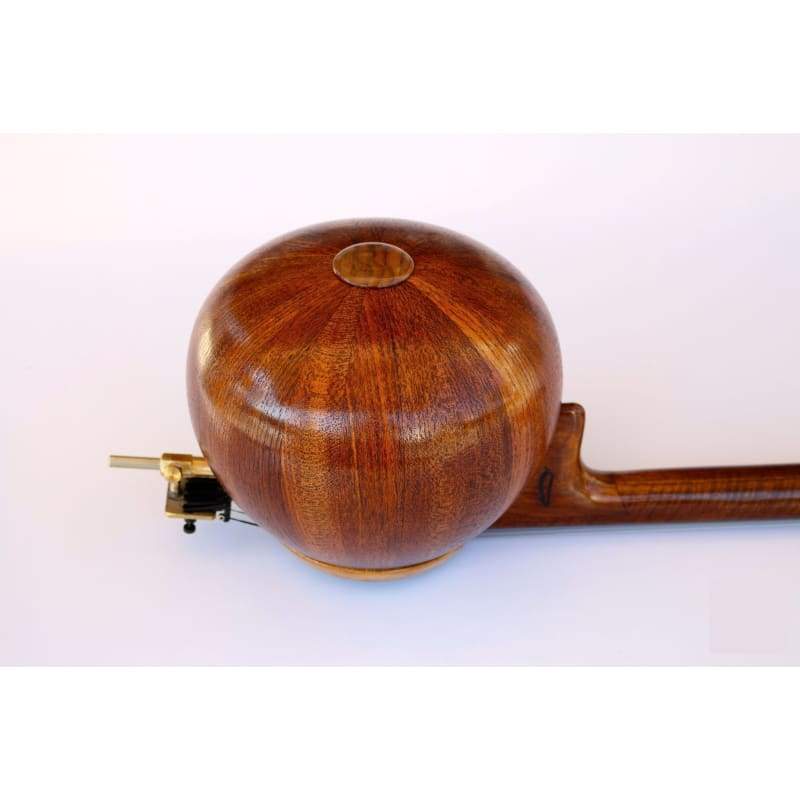 Kamancheh persan MHK-303 par Joodaki instrument traditionnel