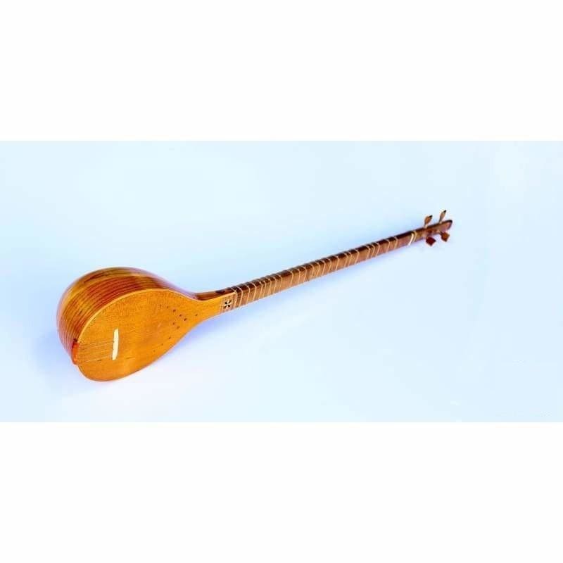 Setar ZS-302 Zolghadr konser Farsça mızraplı çalgı