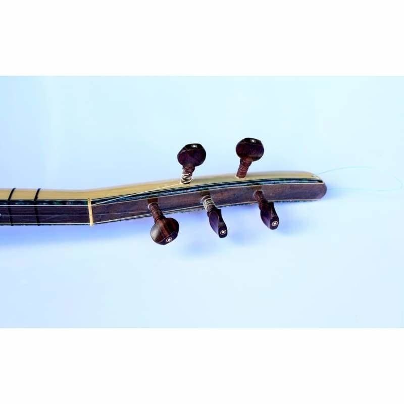 Dest uzun sap elektro bağlama saz EQ2 EQ ile
