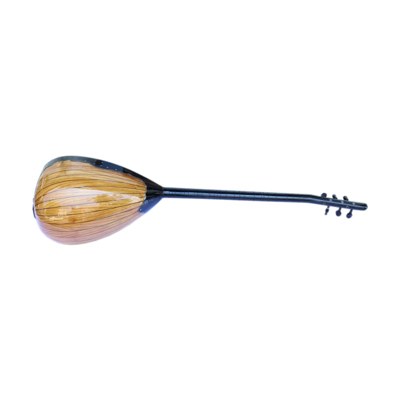 Sala studüo kaydı için prim elektro saz Studio-1