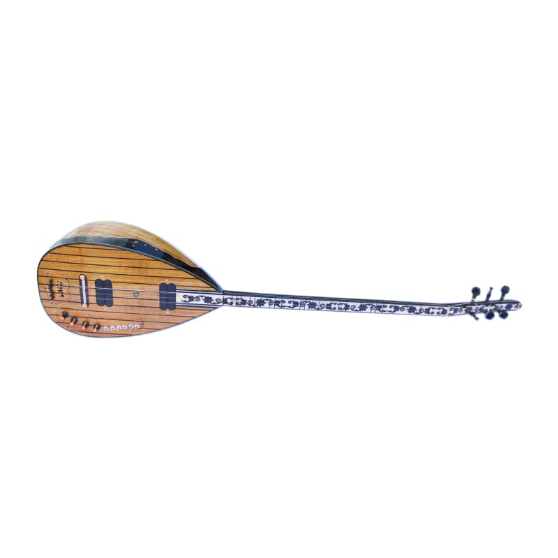 Sala studüo kaydı için prim elektro saz Studio-1