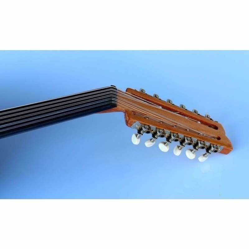 Ceviz Arap elektro udu AAOK-208G Sala yapımı