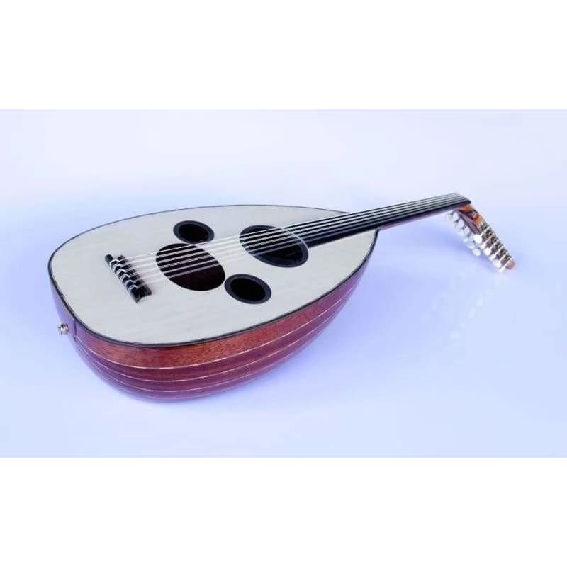 Sala Arap profesyonel elektro udu AAOK-301G