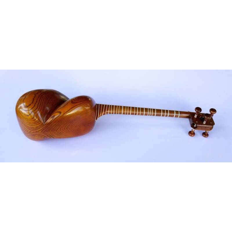 Molayi tar AYT-307 telli İran tarı deve derisi kapaklı
