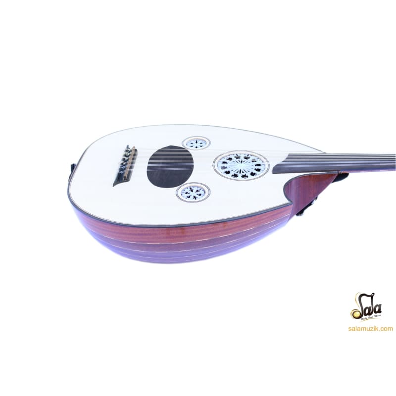 Sala Muzik profesyonel Türk elektro udu AOH-5