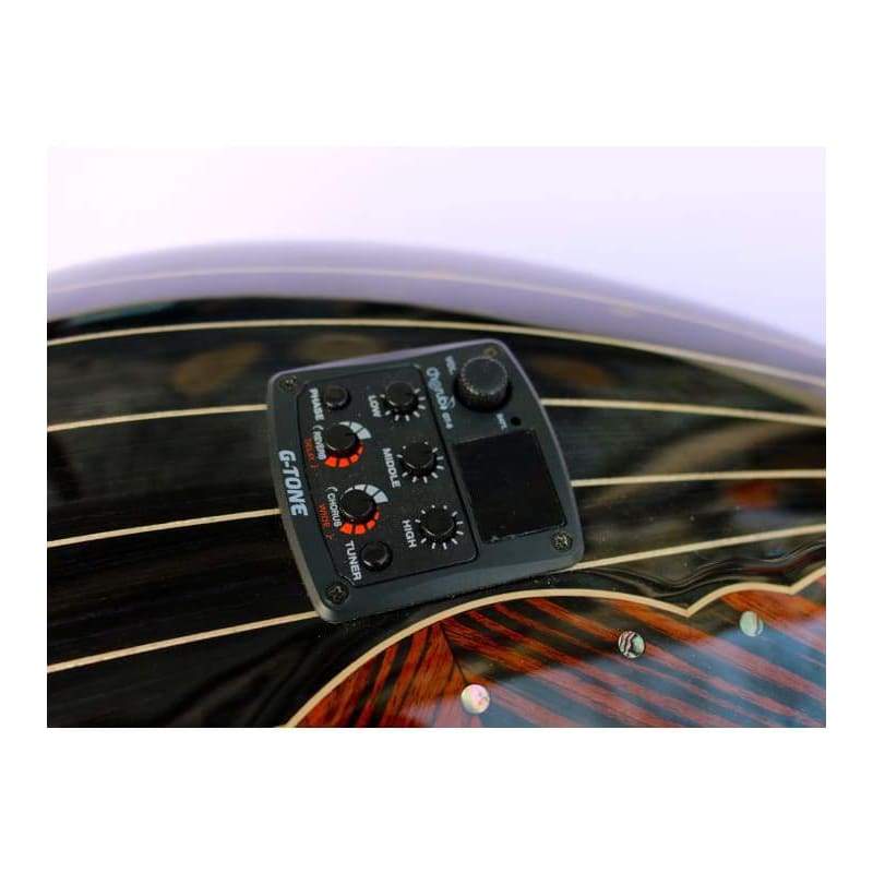 Sala el yapımı özel elektro bağlama SES-208B