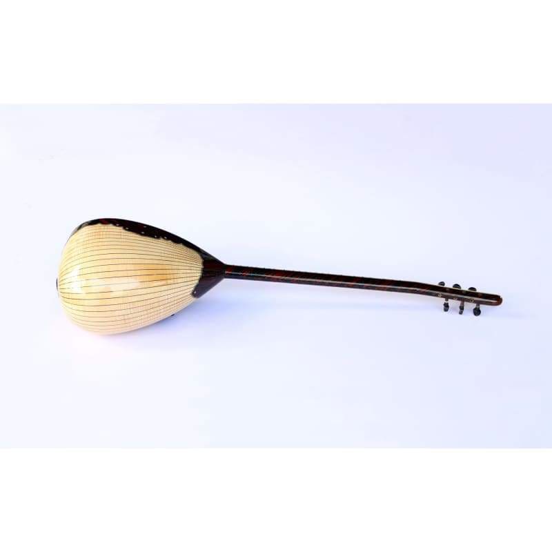 Sala özel elektro bağlama saz SES-203N