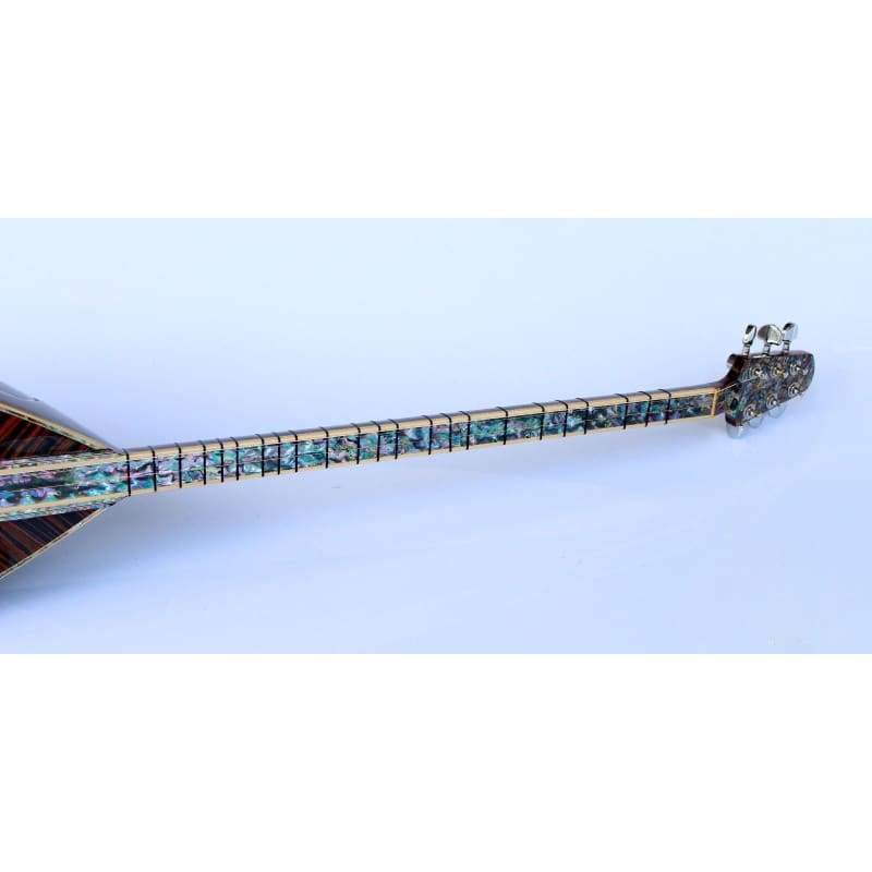 Sala el yapımı uzun sap elektro bağlama SES-408G