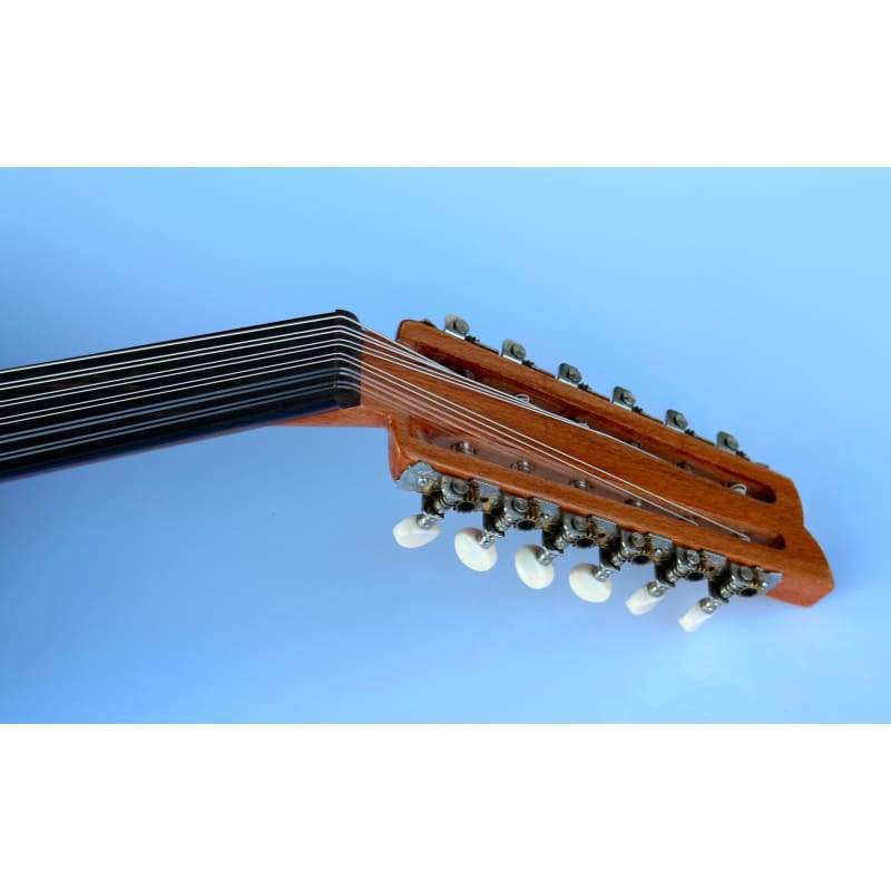 Dahili pickup sistemli profesyonel Türk elektro udu AOH-302G
