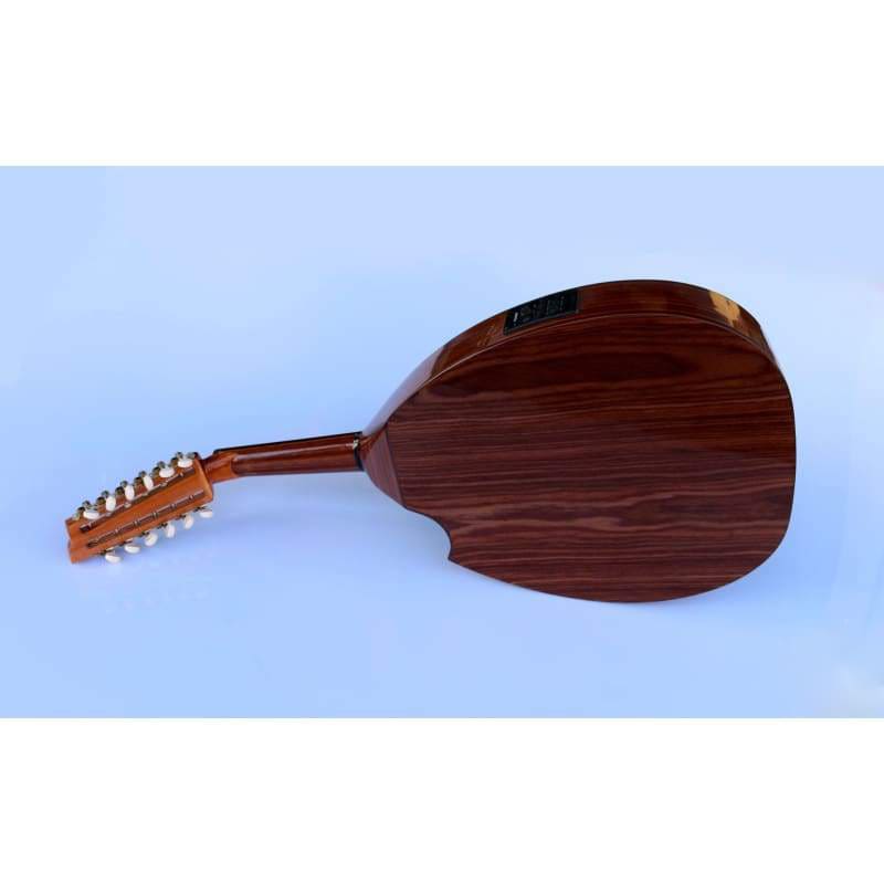 Sala Muzik Türk elektro udu AOH-302G