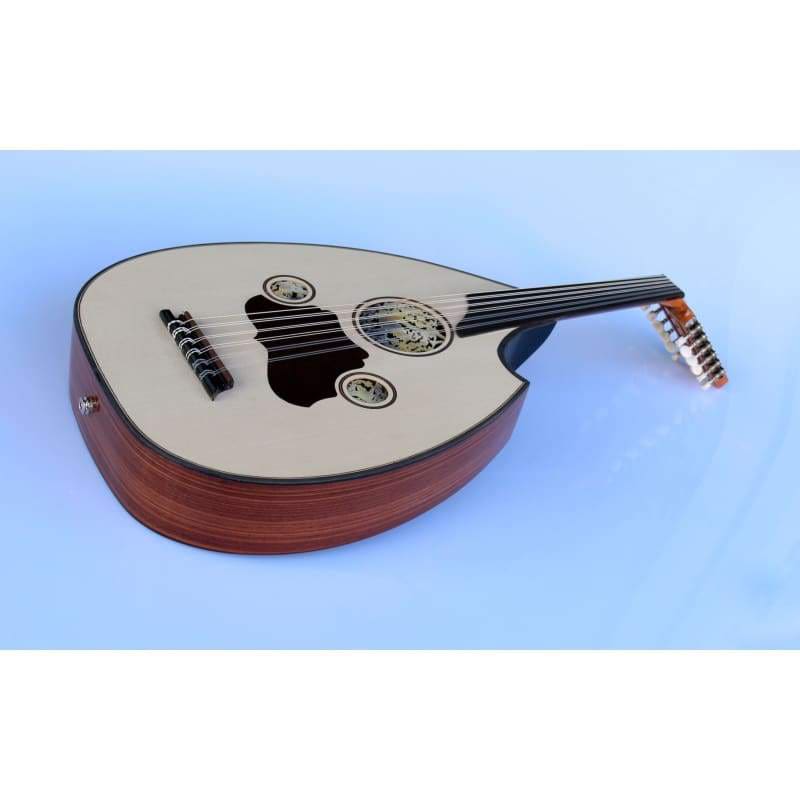 Sala'nın ceviz Türk elektro udu AOH-302G