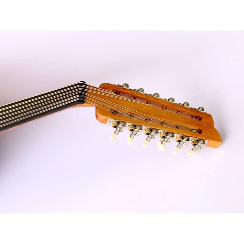 Sala Muzik profesyonel Türk elektro udu AOK-301G