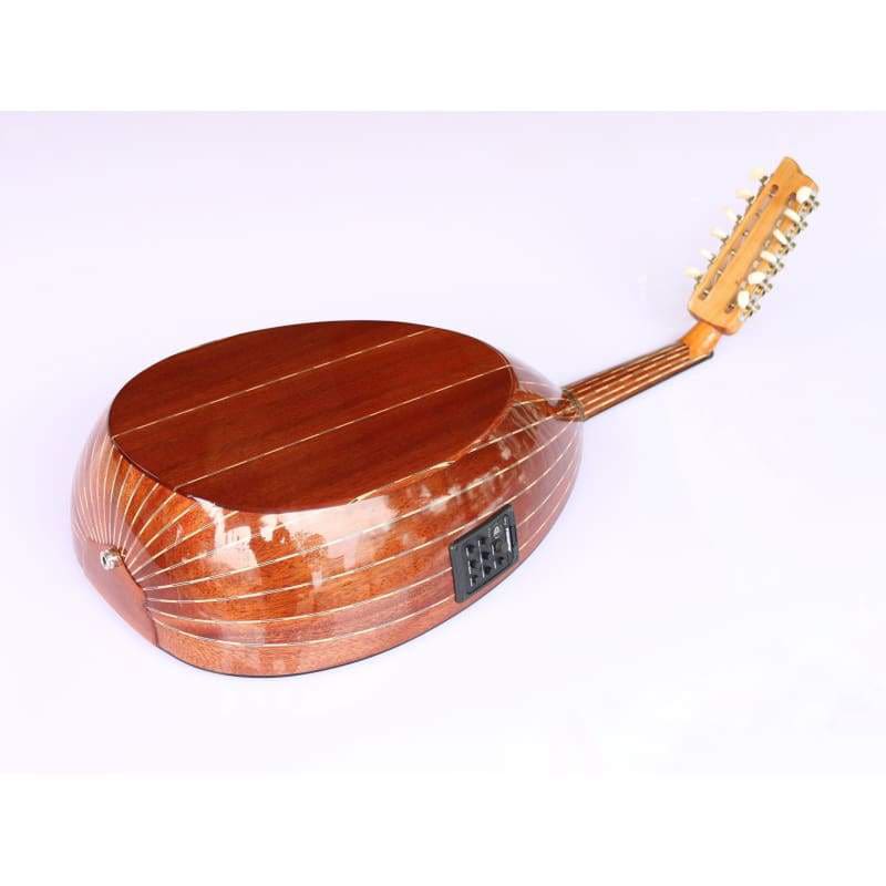 Sala Muzik Türk elektro udu AOK-301G