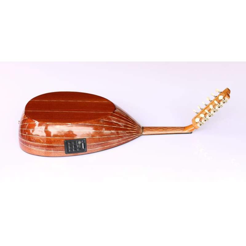 Sala Muzik Türk elektro udu AOK-301G